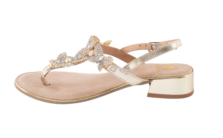 Butterfly Effect - Gold